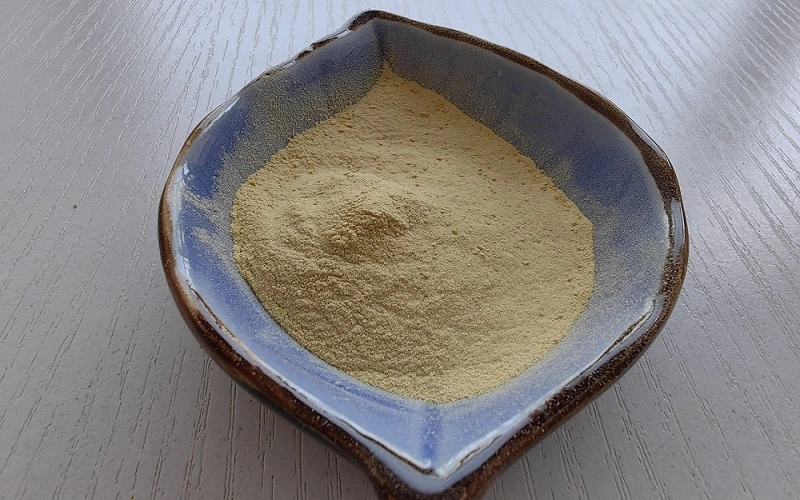 Silkworm Pupa Protein Silkworm Pupa Protein