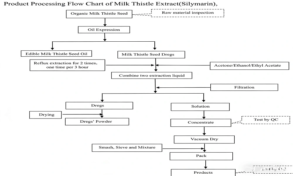 flow chart of Silibinin flow chart of Silibinin