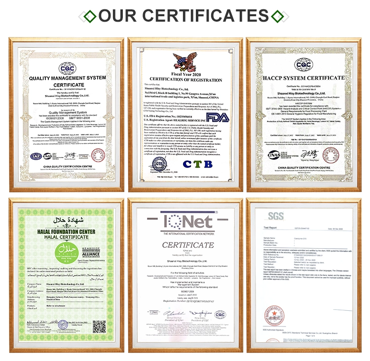 certification certification
