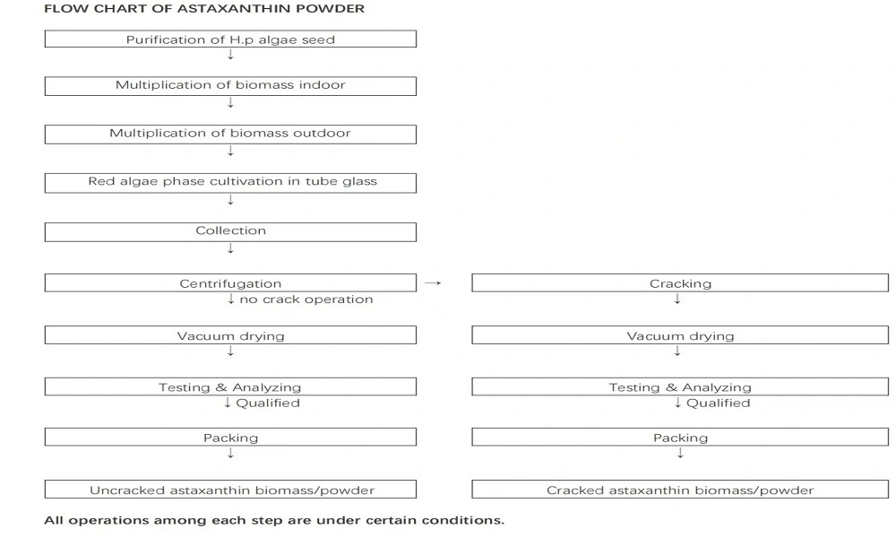 Astaxanthin powder flow chart Astaxanthin powder flow chart