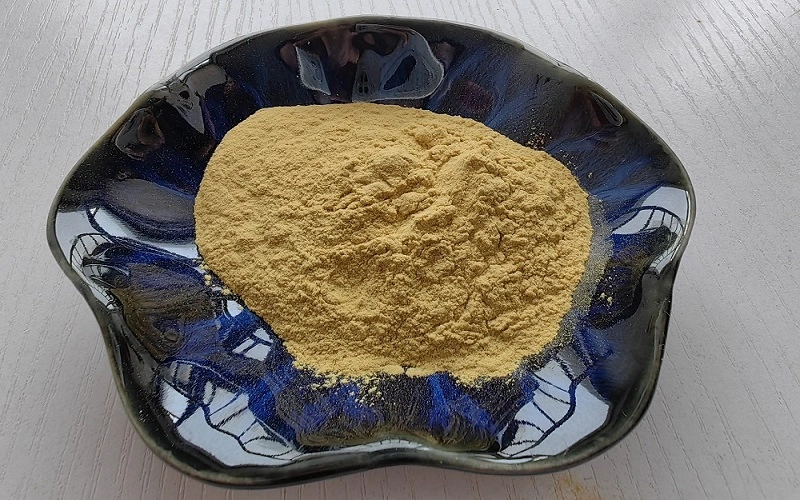 Panax ginseng leaf extract 80%