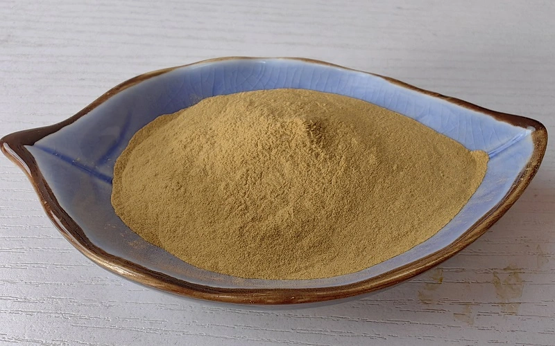 Solomonseal Rhizome Extract(Actual product image