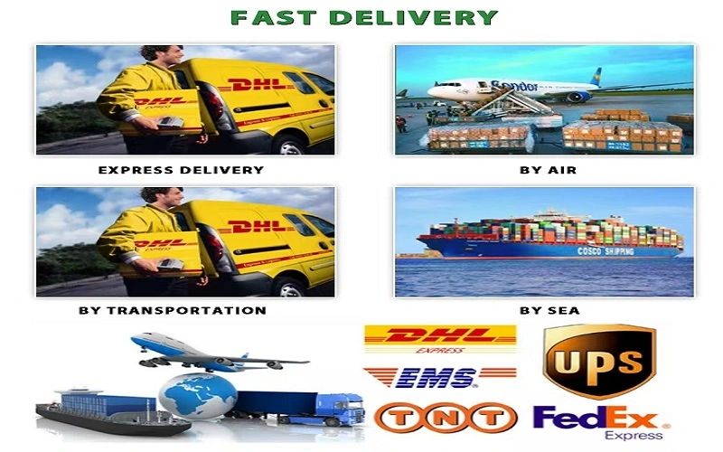 delivery delivery