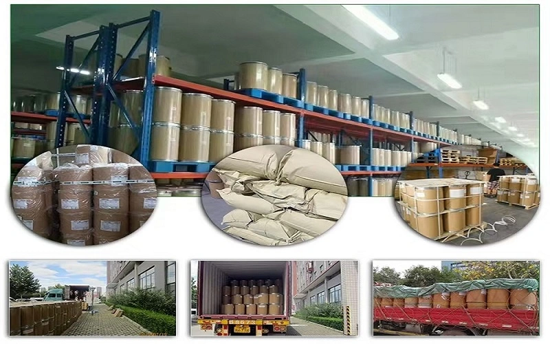 Riboflavin 5'-Monophosphate Sodium Salt Riboflavin 5'-Monophosphate Sodium Salt