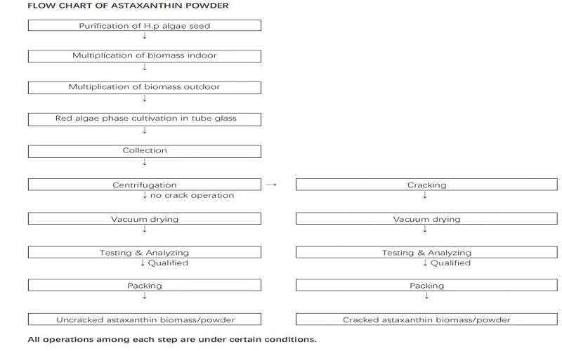 Astaxanthin microcapsule powder flow chart