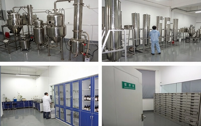 lab99 lab99