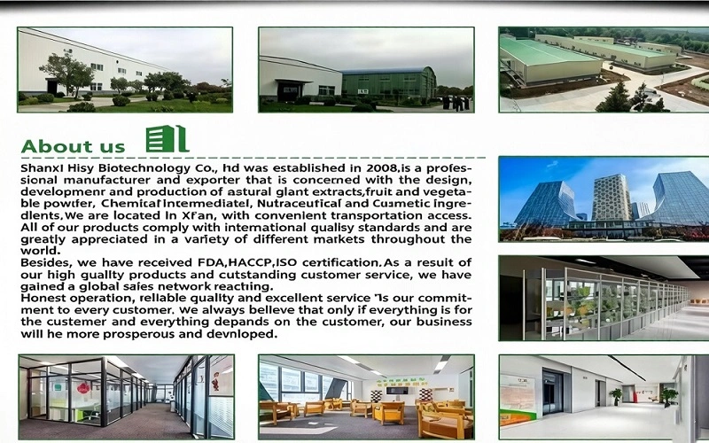 about us gong qing about us gong qing