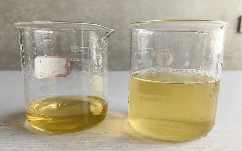 Panax ginseng leaf extract soluble in hot and cool water Panax ginseng leaf extract soluble in hot and cool water
