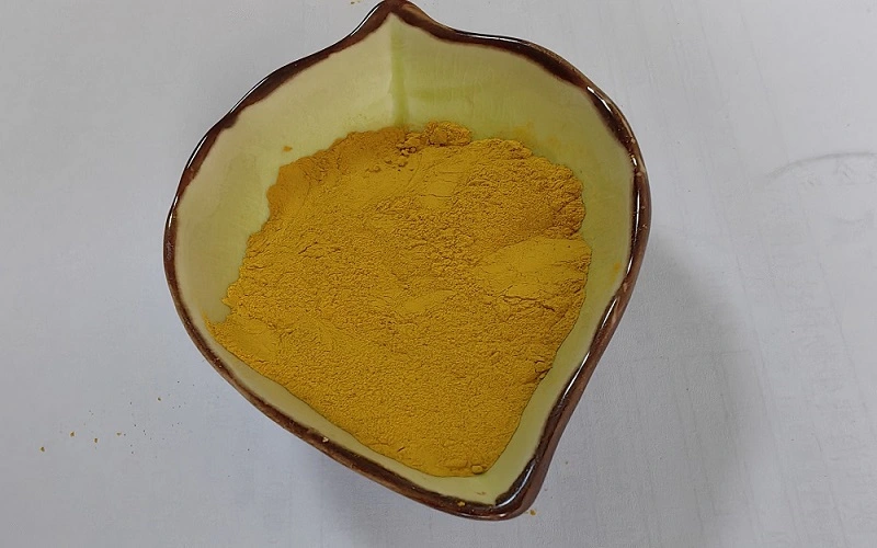 Turmeric Extract