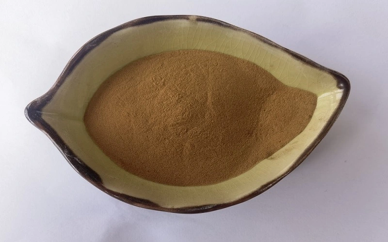 shilajit extract