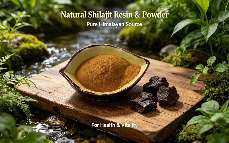 Shilajit extract benefits  for buyers