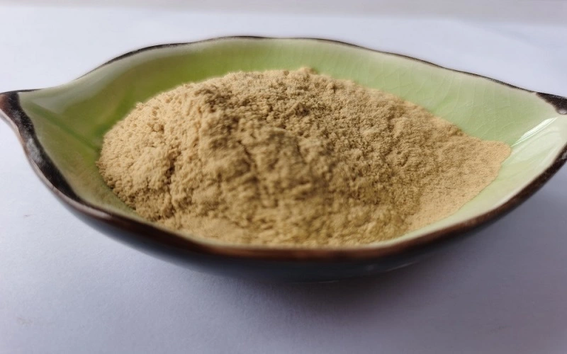 Ashwagandha Extract 5% powder