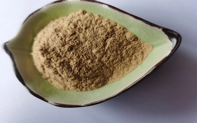 Ashwagandha Extract 