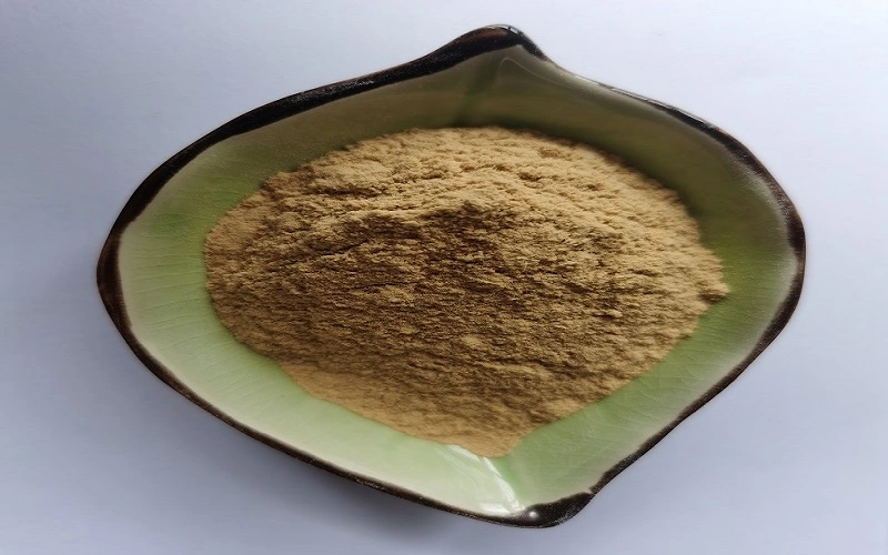 Ashwagandha Extract 5% photo