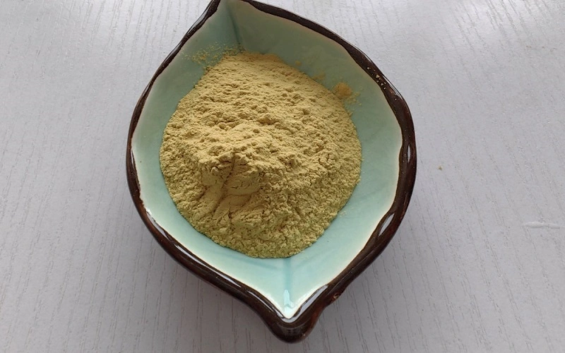 Astragaloside IV 10% style2 Astragaloside IV 10% style2