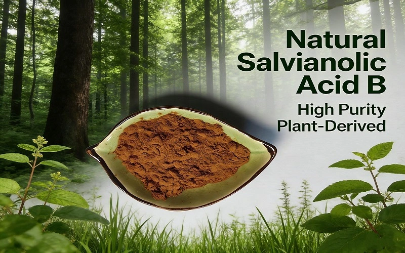 BENEFITS OF Salvianolic acid BENEFITS OF Salvianolic acid