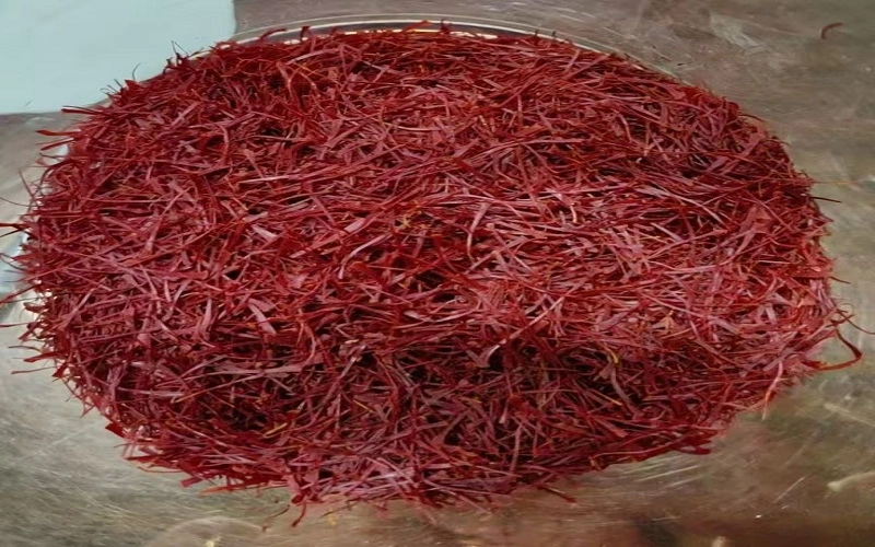 saffron 8 saffron 8