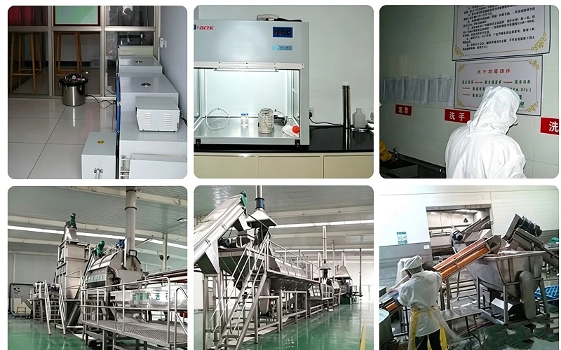 Barley Seedling Powder work shop Barley Seedling Powder work shop