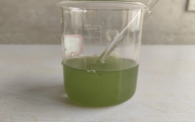 Barley Seedling Real time photos of water solubility Barley Seedling Real time photos of water solubility