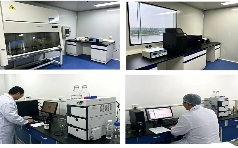 lab33