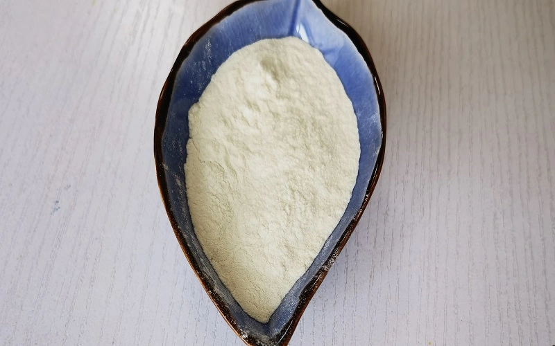 Casein Hydrolyzed Peptide style 2