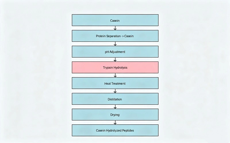Casein Hydrolyzed Peptide powder flow chart