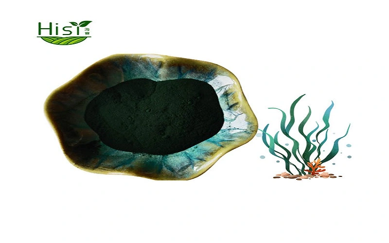 Spirulina Spirulina