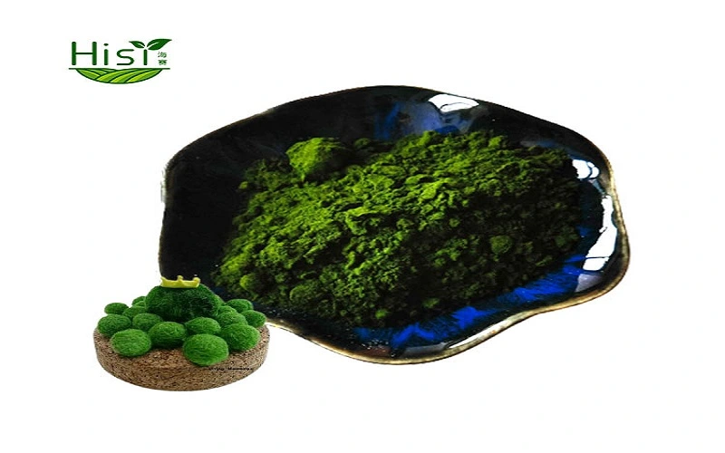 Chlorella Chlorella