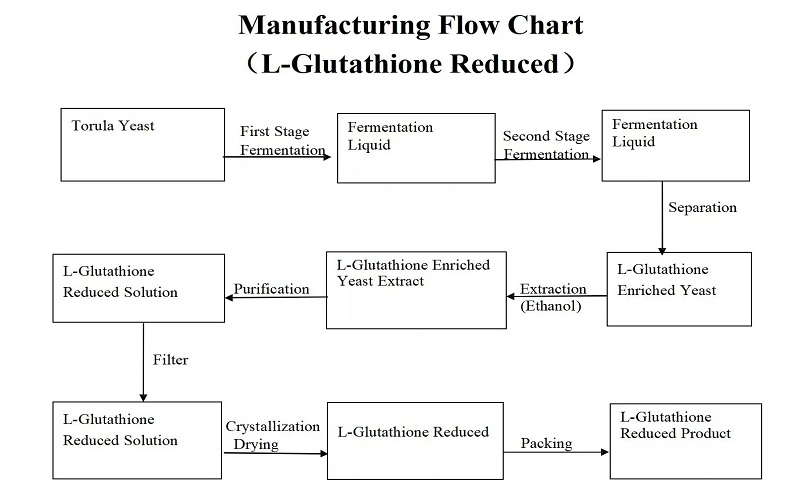 flow chart of L-glutathione flow chart of L-glutathione