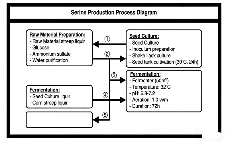 L-Serine flow chart L-Serine flow chart