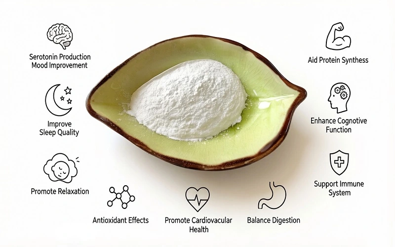 L-Tryptophan Powder benefits L-Tryptophan Powder benefits