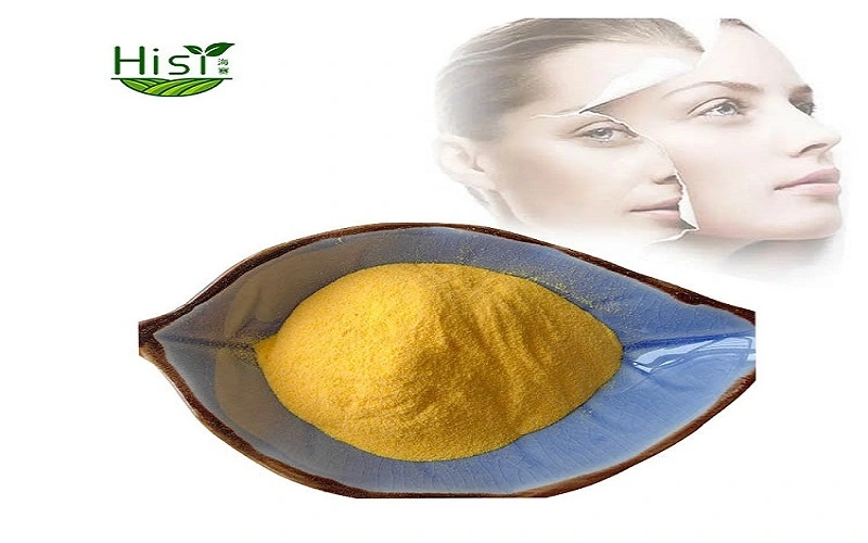 Coenzyme Q10 