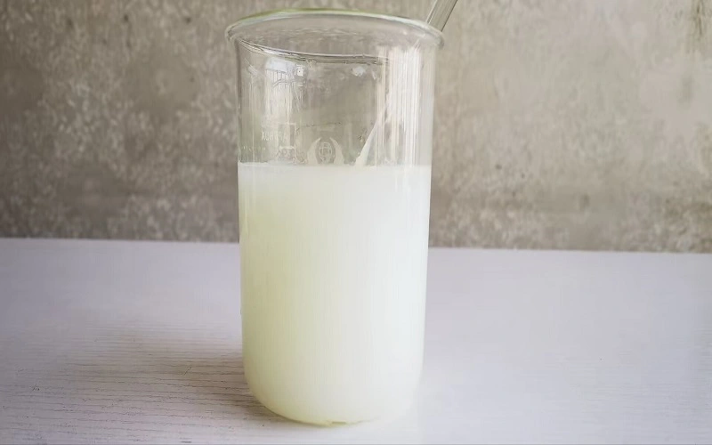 Vitamin A palmitate solubility