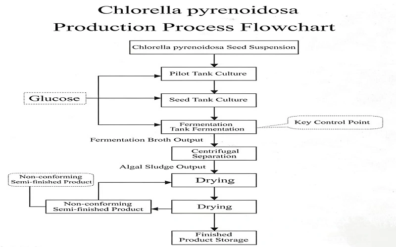 Chlorella flow chart Chlorella flow chart