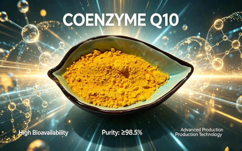 Coenzyme Q10 Advantages