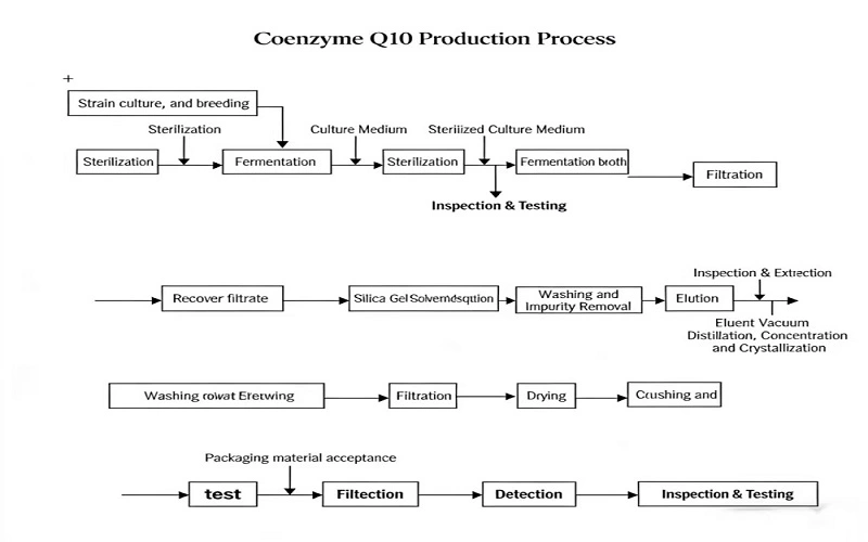 Coenzyme Q10 Flow chart 10% Coenzyme Q10 Flow chart 10%