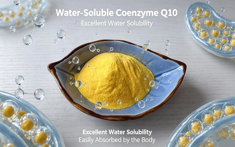 Water soluble Coenzyme Q10 advantages Water soluble Coenzyme Q10 advantages