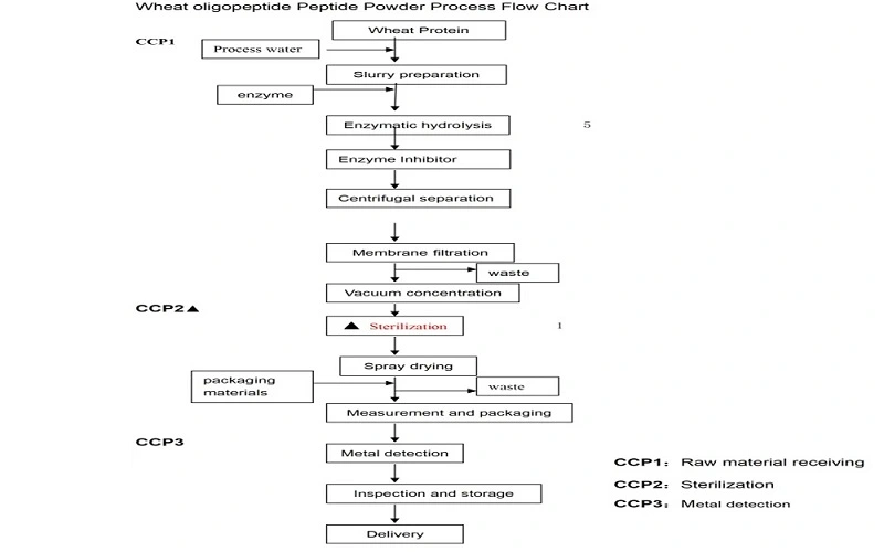 wheat peptide flow chart wheat peptide flow chart
