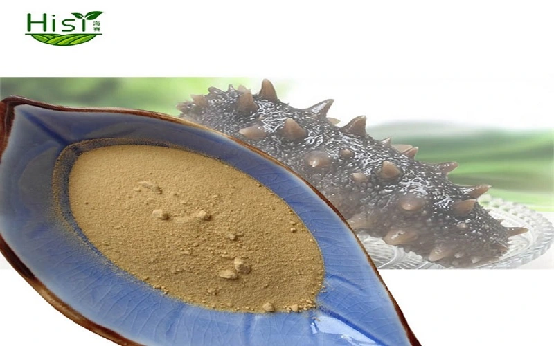 Sea Cucumber Peptide style 2 Sea Cucumber Peptide style 2