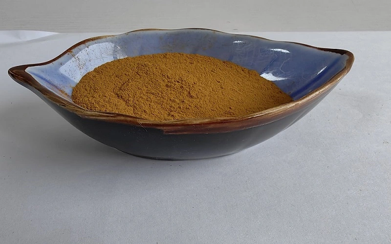 Coleus forskohlii extract front view