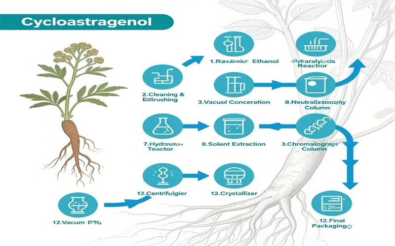 flow chart of Cycloastragenol flow chart of Cycloastragenol