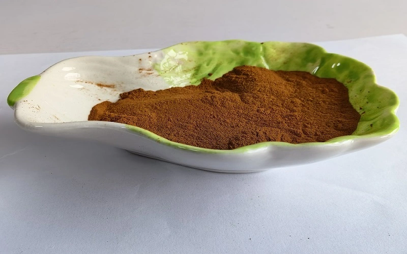 Rhei Radix Et Rhizoma Extract 