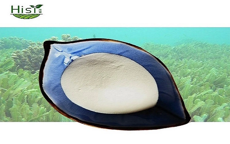 DHA powder DHA powder