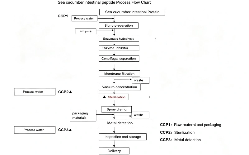 Sea Cucumber Peptide flow chart Sea Cucumber Peptide flow chart