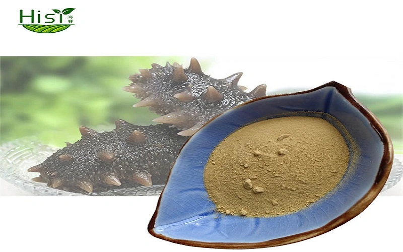 Sea Cucumber Peptide Powder Introduction Sea Cucumber Peptide Powder Introduction