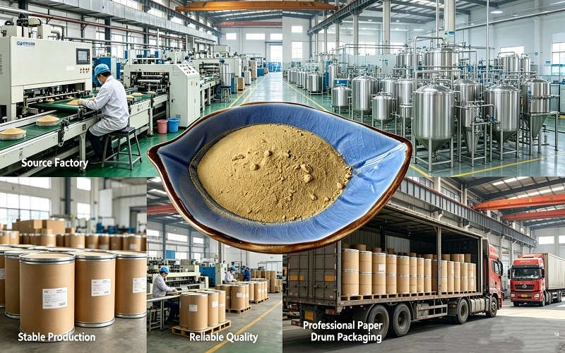 Sea Cucumber Peptide Powder benefits for buyers Sea Cucumber Peptide Powder benefits for buyers