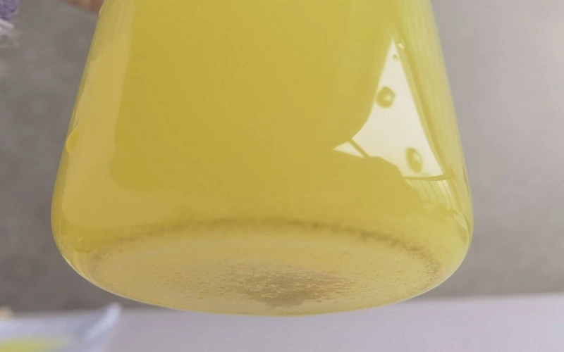 Fisetin  water soluble