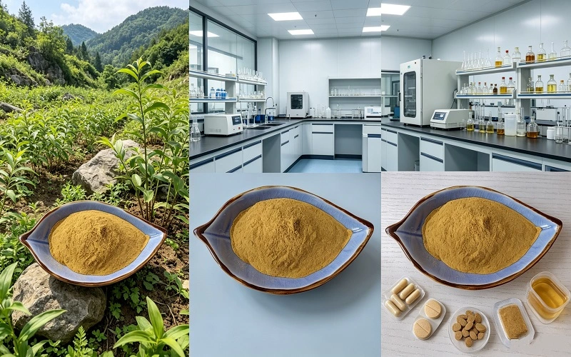 Solomonseal Rhizome Extract benefits for buyers