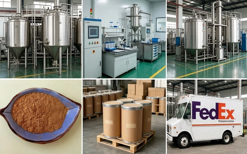 Paeoniflorin 50% Powder Benefits for buyers