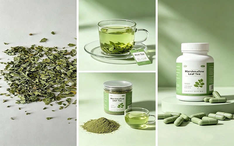Marshmallow leaf tea application Marshmallow leaf tea application